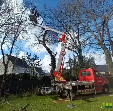 abattage d'arbre Bruz-5