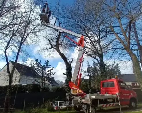 abattage d'arbre La Chapelle-Thouarault-5