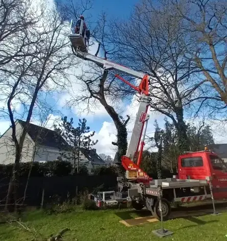 abattage d'arbre Le Rheu-3