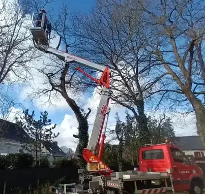 abattage d'arbre Mordelles-5