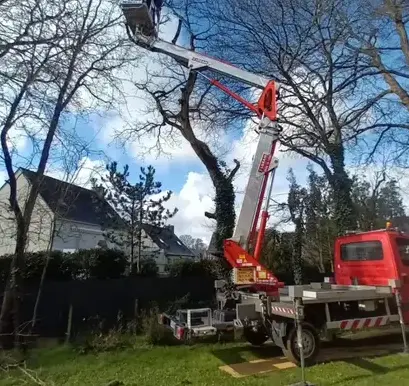 abattage d'arbre Rennes-5