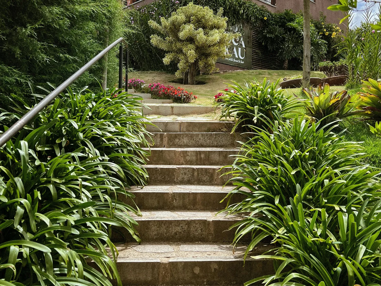 amenagement exterieur la chapelle thouarault