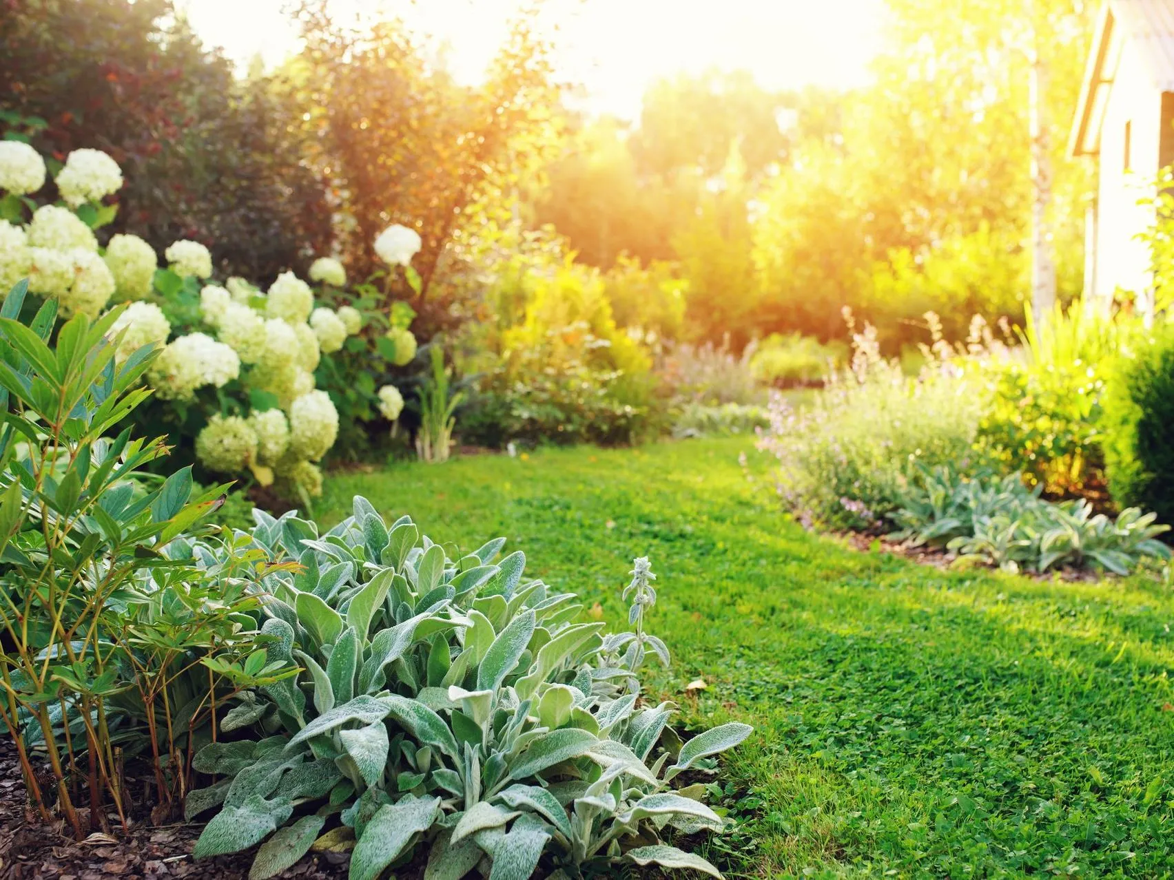 creation de jardin chavagne
