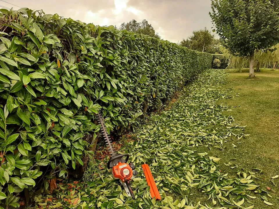 creation de jardin rennes