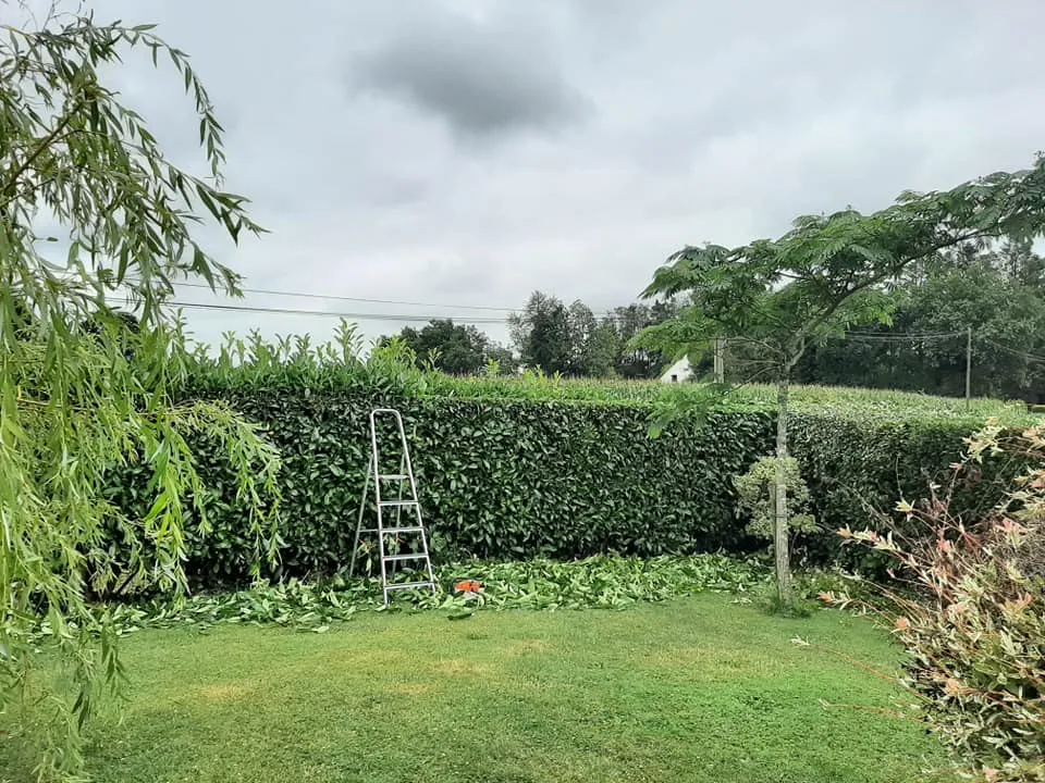 entretien de jardin bruz